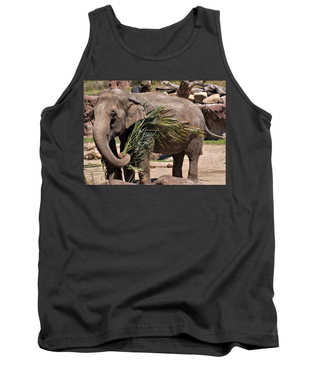 Elephant Tank Top featuring the photograph Elephant Play by Margaret Zabor