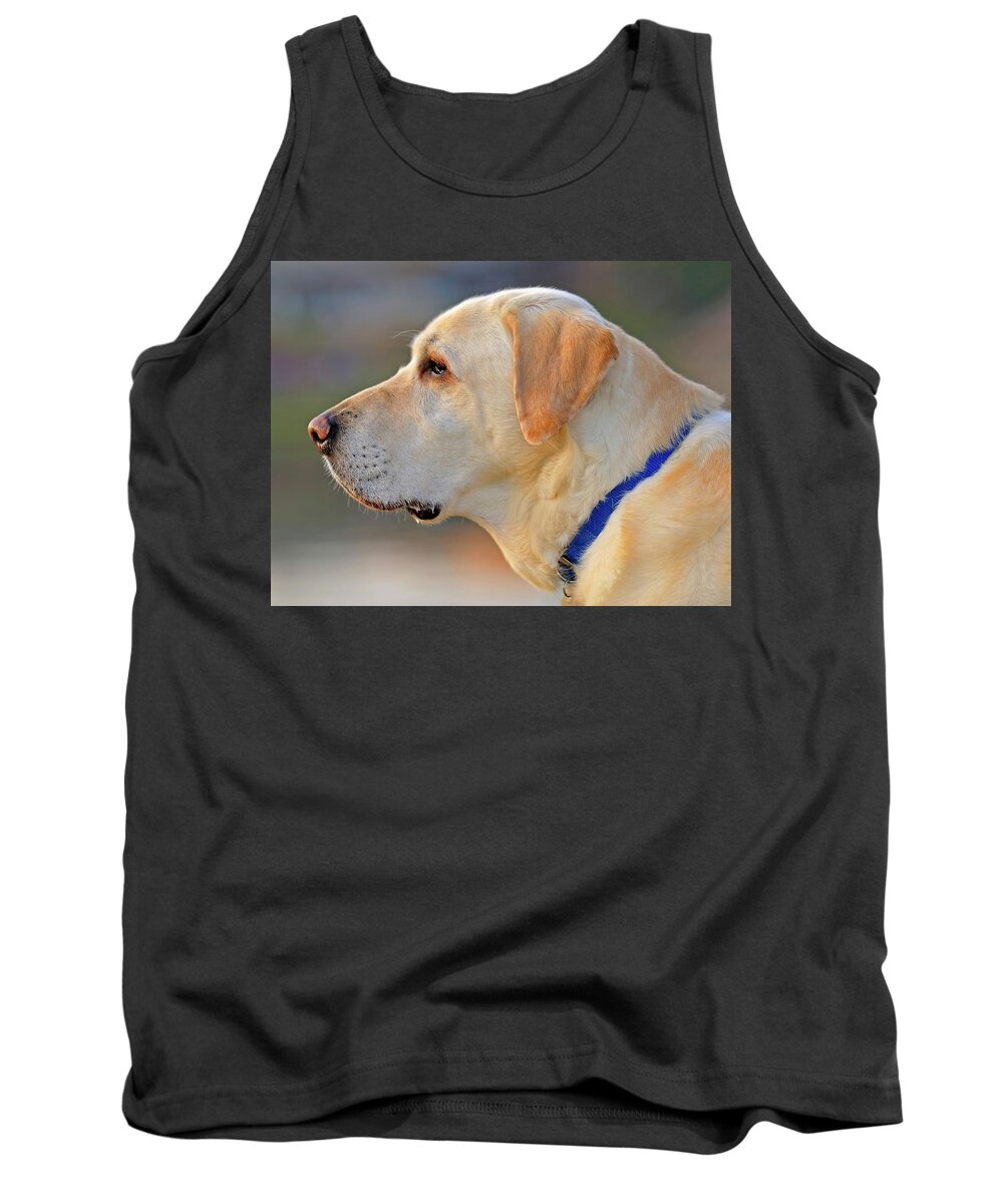 Dog Tank Top featuring the photograph Faithful by Tom Gresham