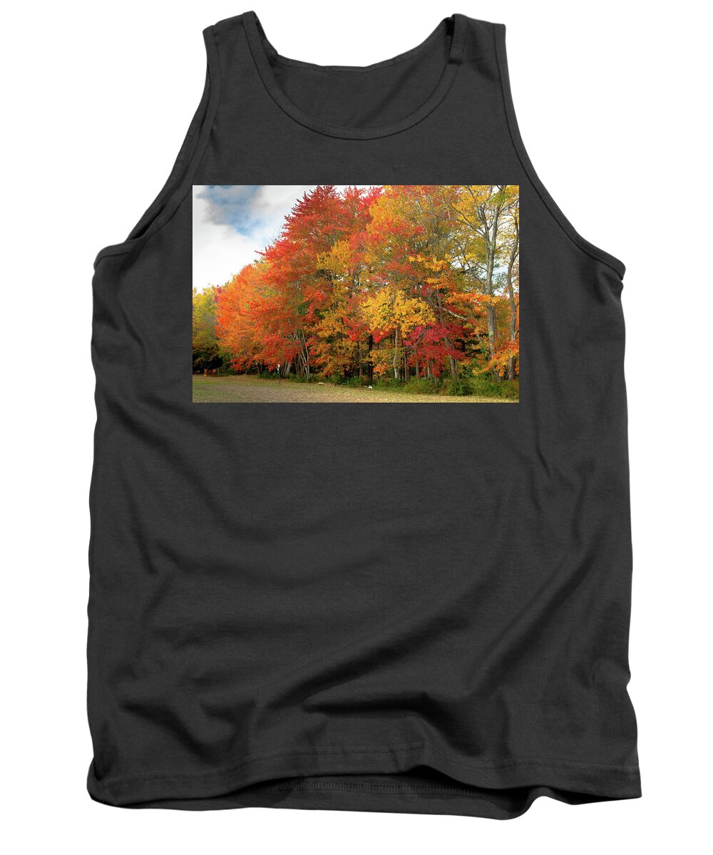 Autumn Tank Top featuring the photograph Fall Colors by Doug Camara