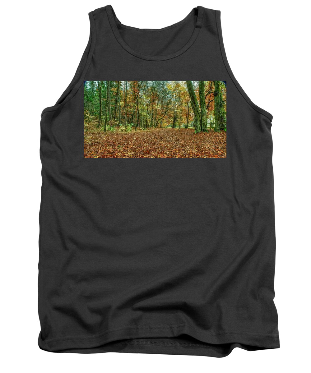 Fall Light Tank Top featuring the photograph Fall light #j2 by Leif Sohlman