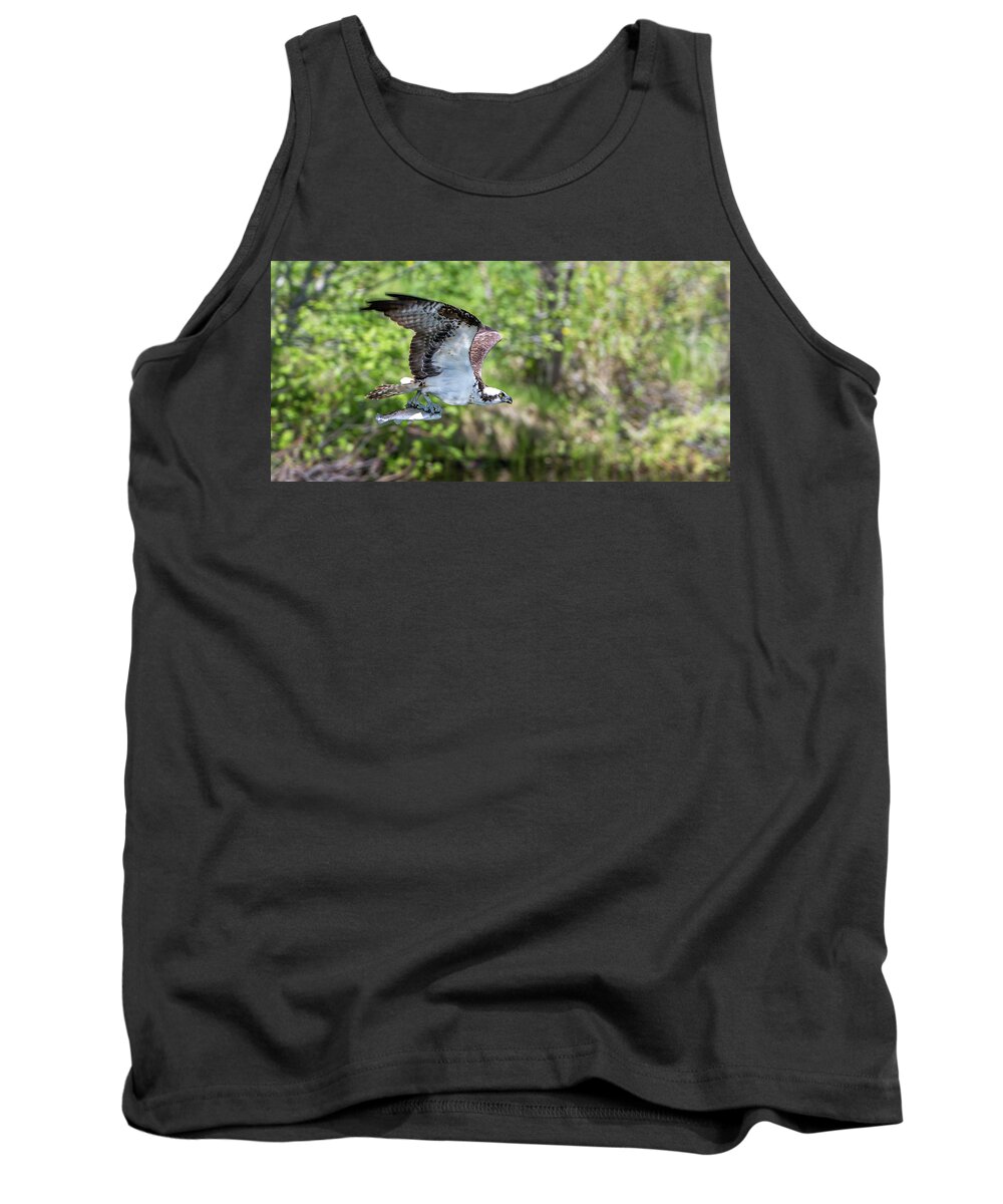 Calf Tank Top featuring the photograph Fetcher Catch by Kevin Dietrich