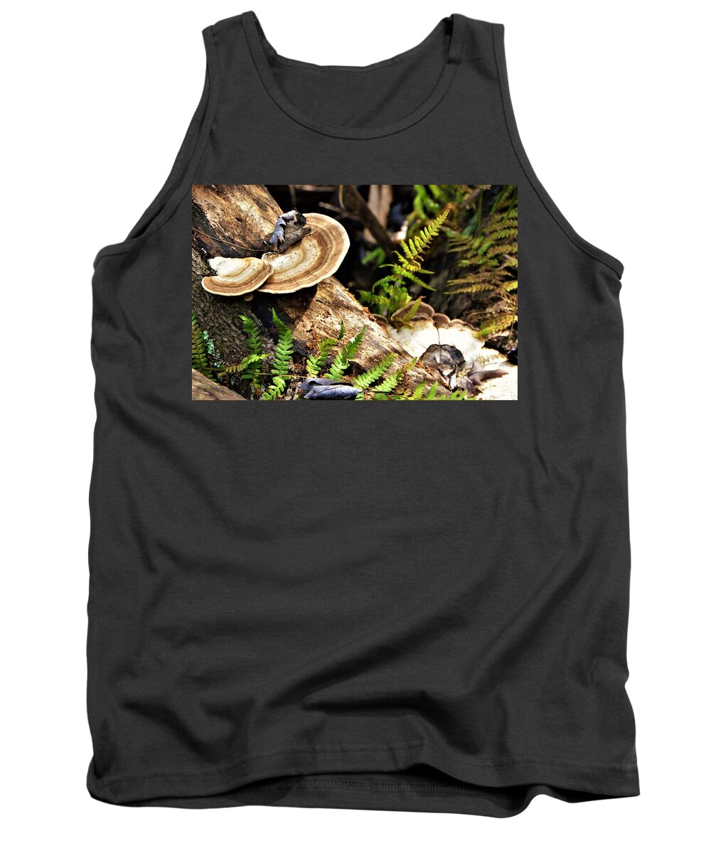 Mushrooms Tank Top featuring the photograph Florida forest by Chuck Brown