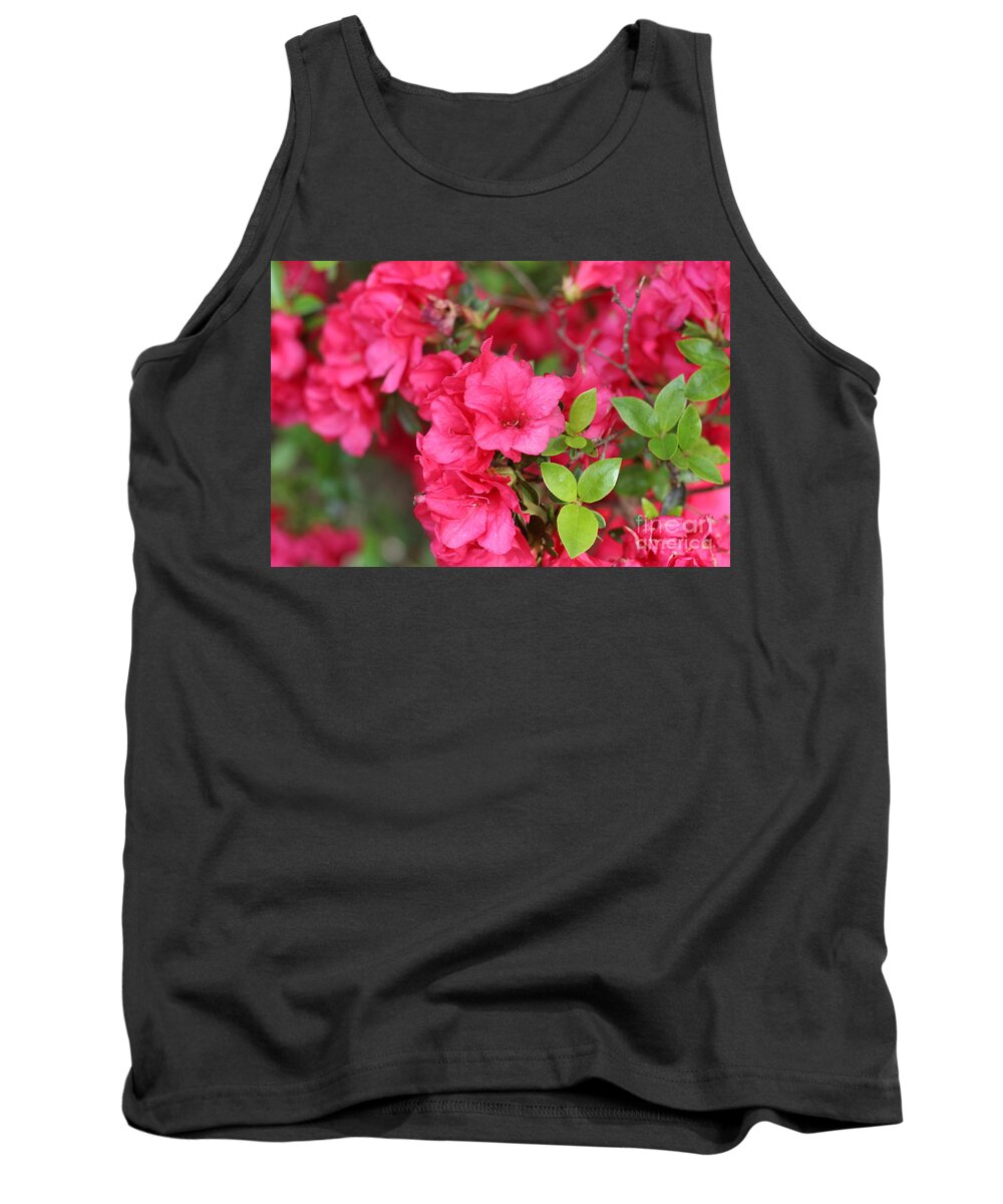 Multi Colored Floral Buds Tank Top featuring the photograph Multi Colored Floral Buds by Barbra Telfer