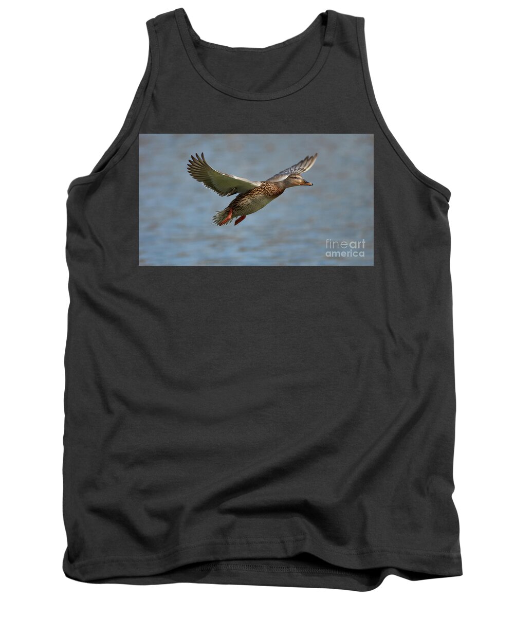 Ducks Tank Top featuring the photograph Fly-By by Robert WK Clark
