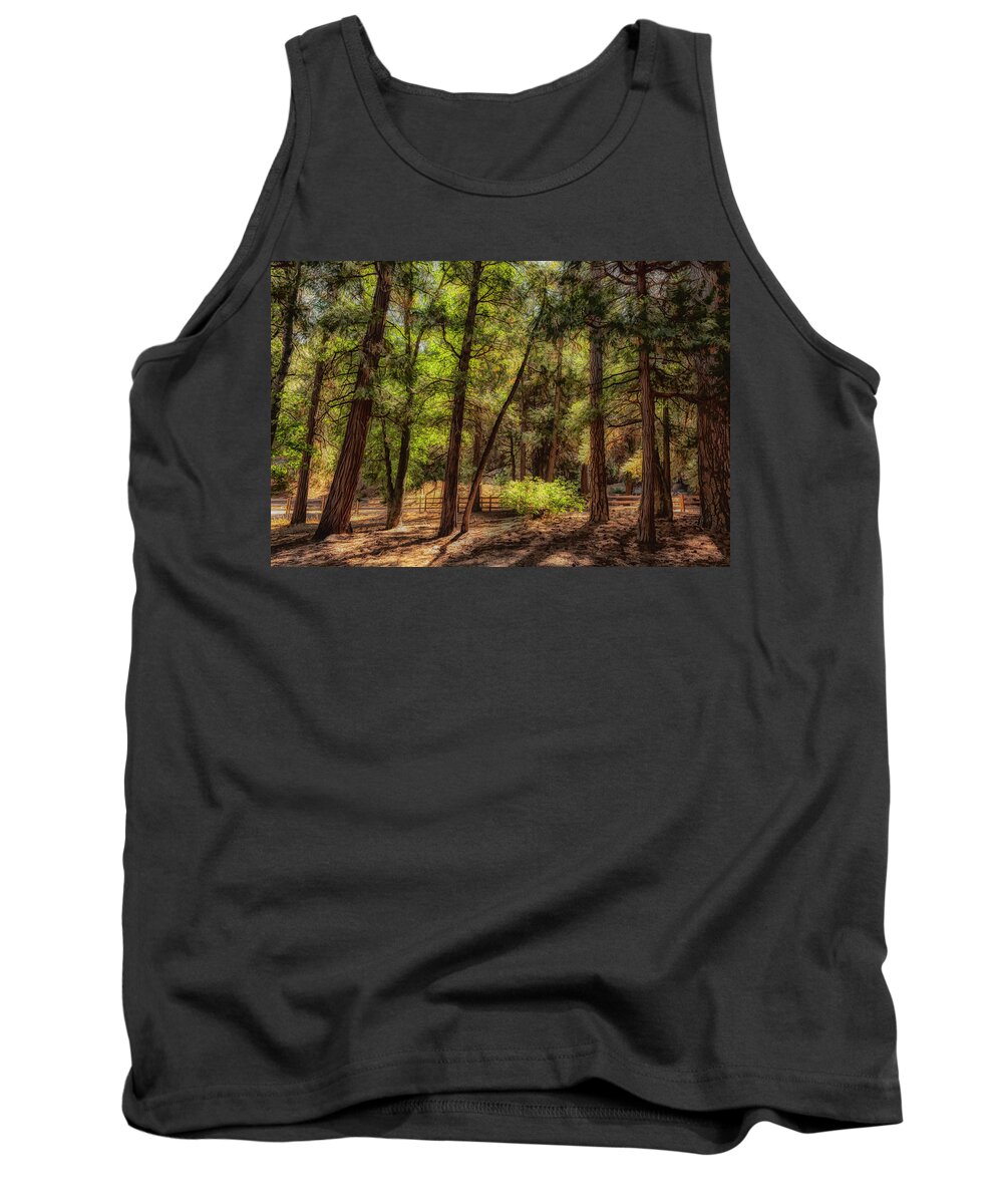 Pines Tank Top featuring the photograph Forest Light II by Alison Frank