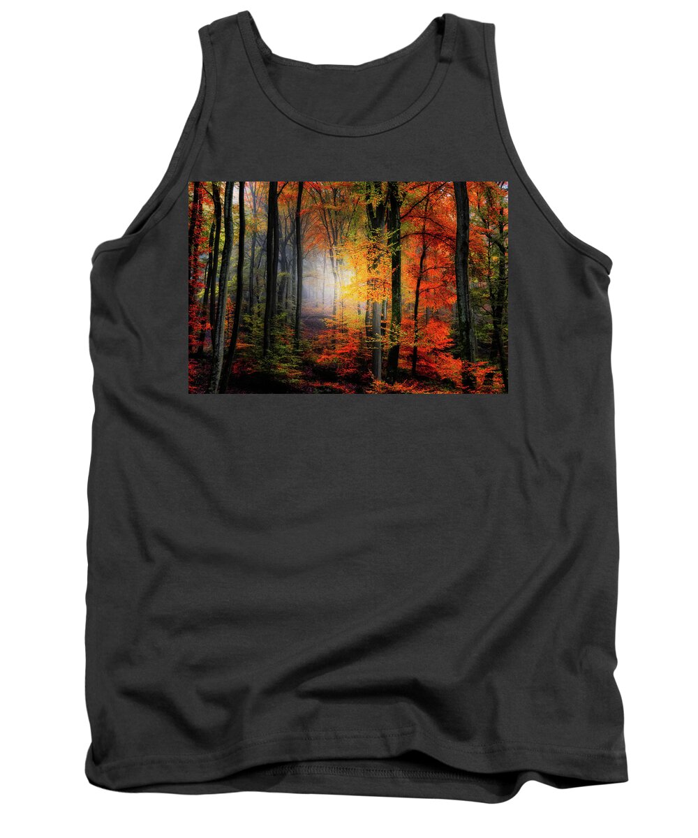 Forest Tank Top featuring the photograph Forest Light by Philippe Sainte-Laudy