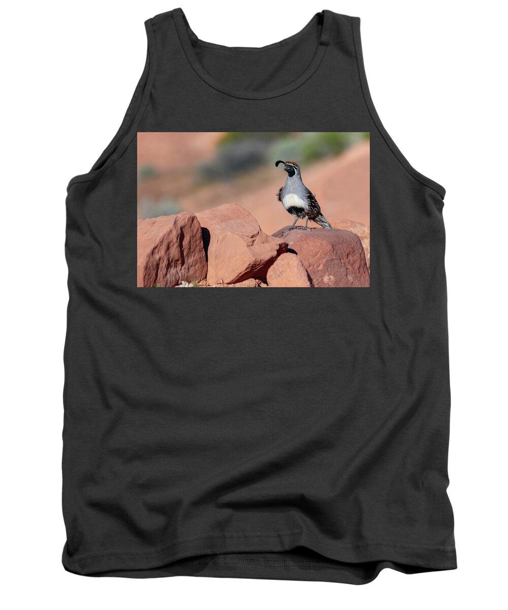America Tank Top featuring the photograph Gambels Quail one by James Sage