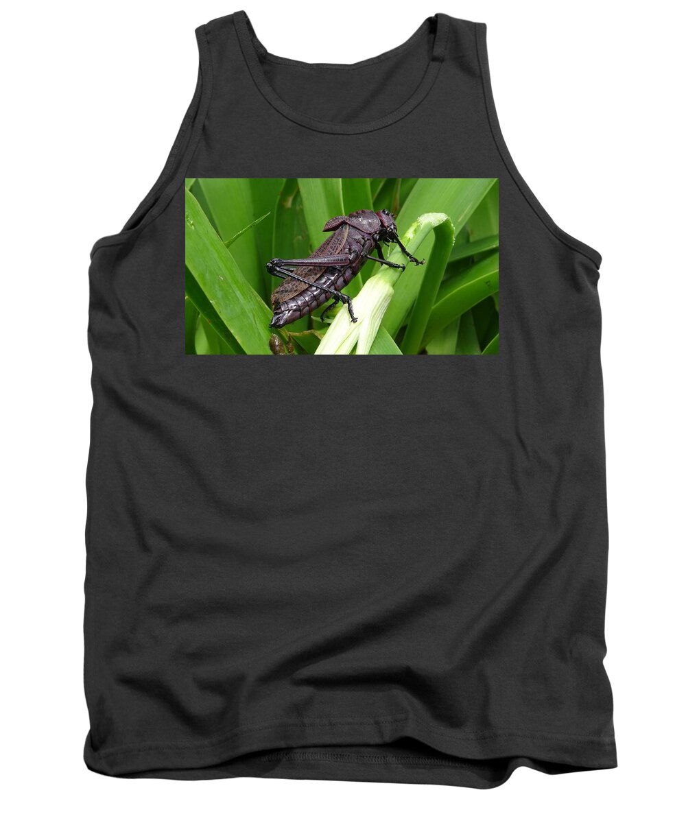  Tank Top featuring the photograph Grasshopper by Stanley Vreedeveld