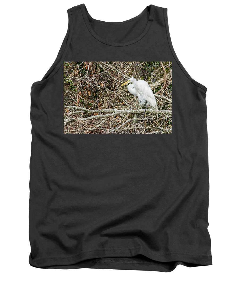 Egret Tank Top featuring the photograph Great Egret by Bob Decker