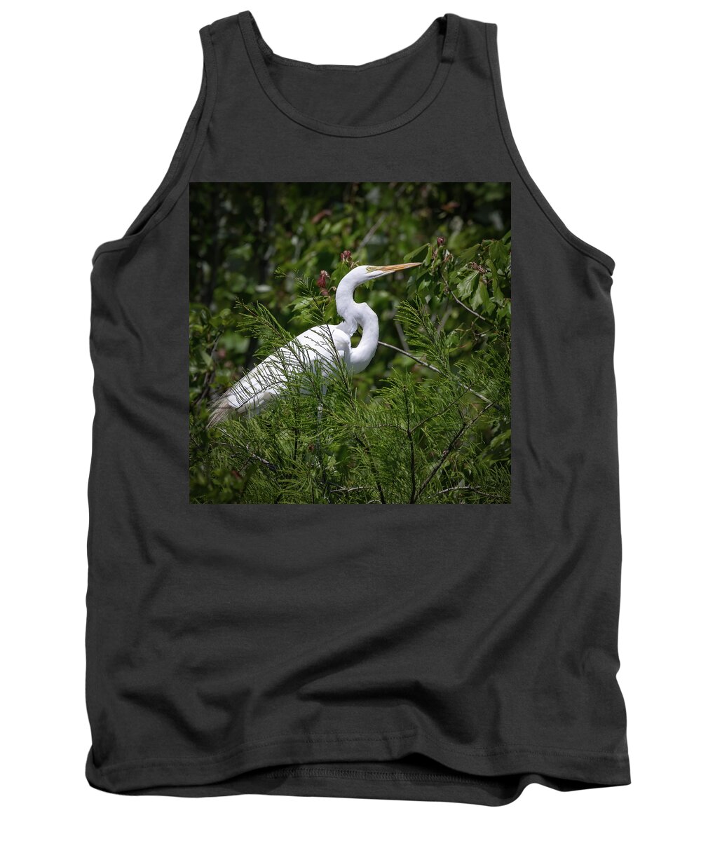 Shorebirds Tank Top featuring the photograph Great White Heron by JASawyer Imaging