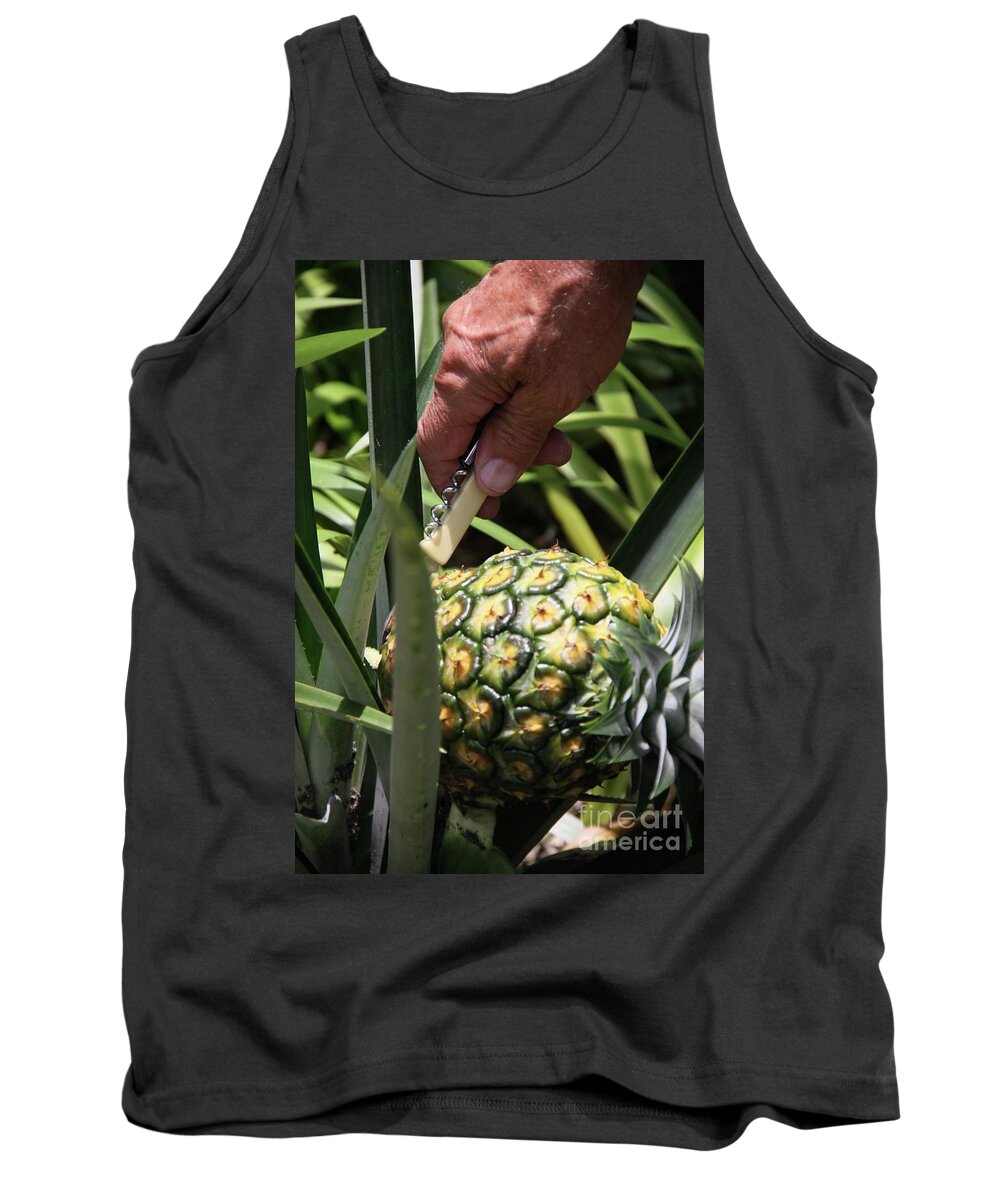 Home Tank Top featuring the photograph Home Grown Hawaiian Gold Pineapple by Philip And Robbie Bracco