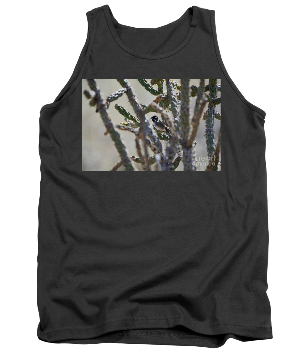 Bird Tank Top featuring the photograph I See You by Robert WK Clark