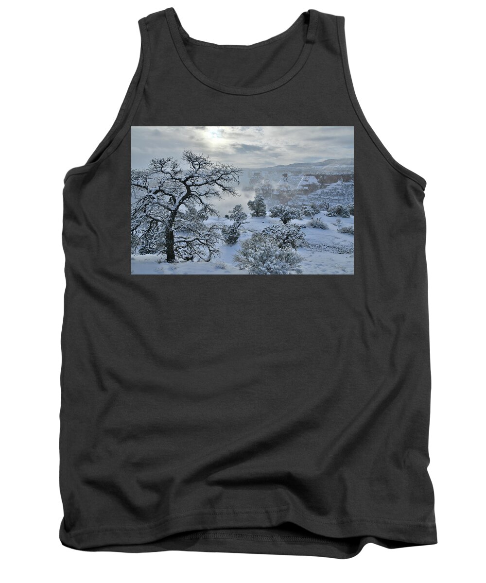 Colorado National Monument Tank Top featuring the photograph Independence Canyon at Sunrise in Colorado National Monument by Ray Mathis