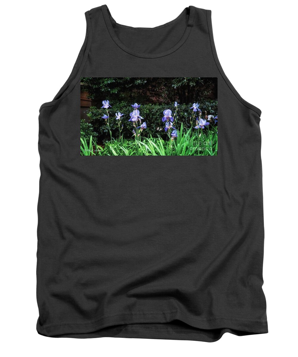 Iris Tank Top featuring the photograph Irises of Montserrat by Mary Capriole