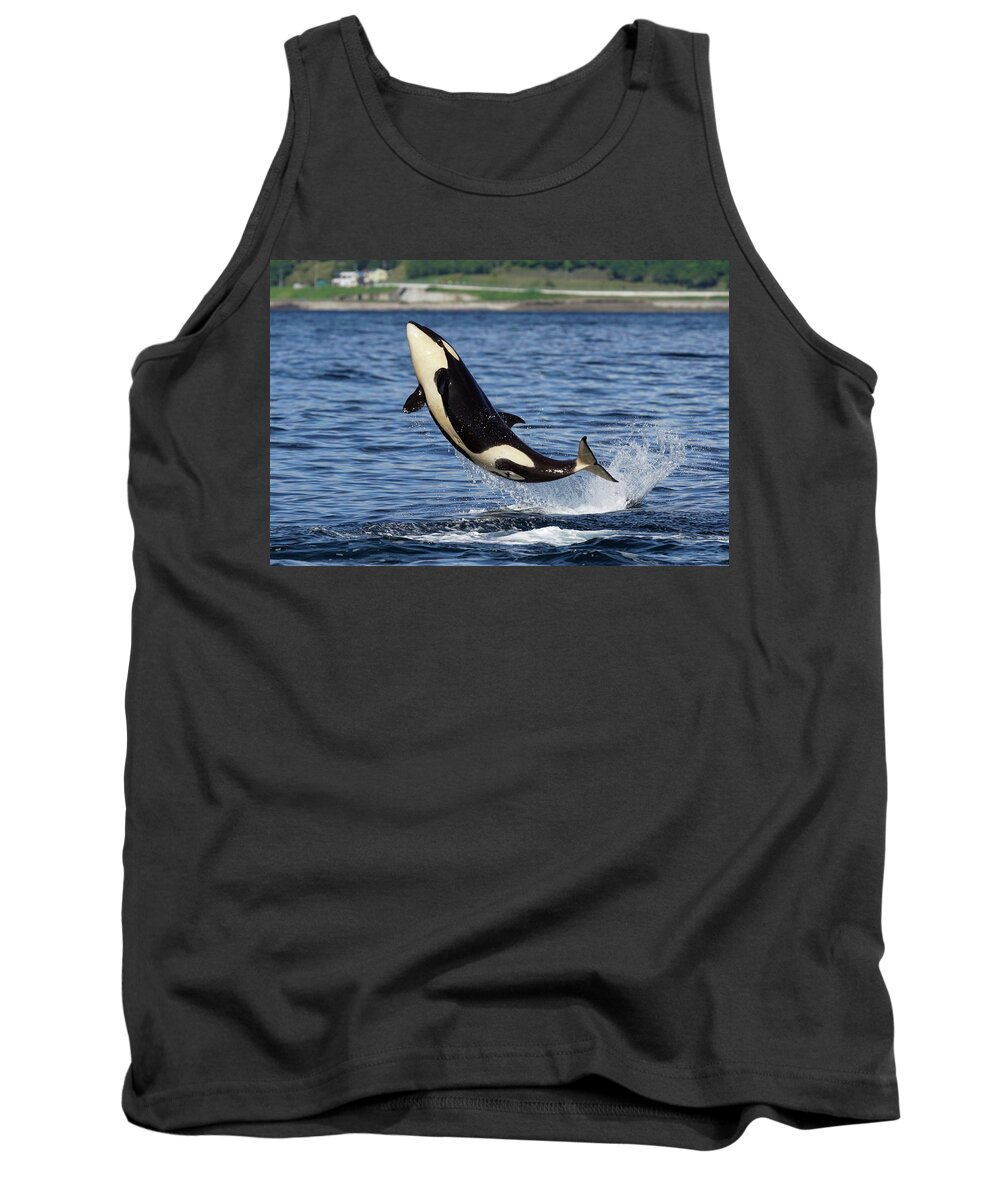 00558320 Tank Top featuring the photograph Juvenile Orca Leaping by Hiroya Minakuchi