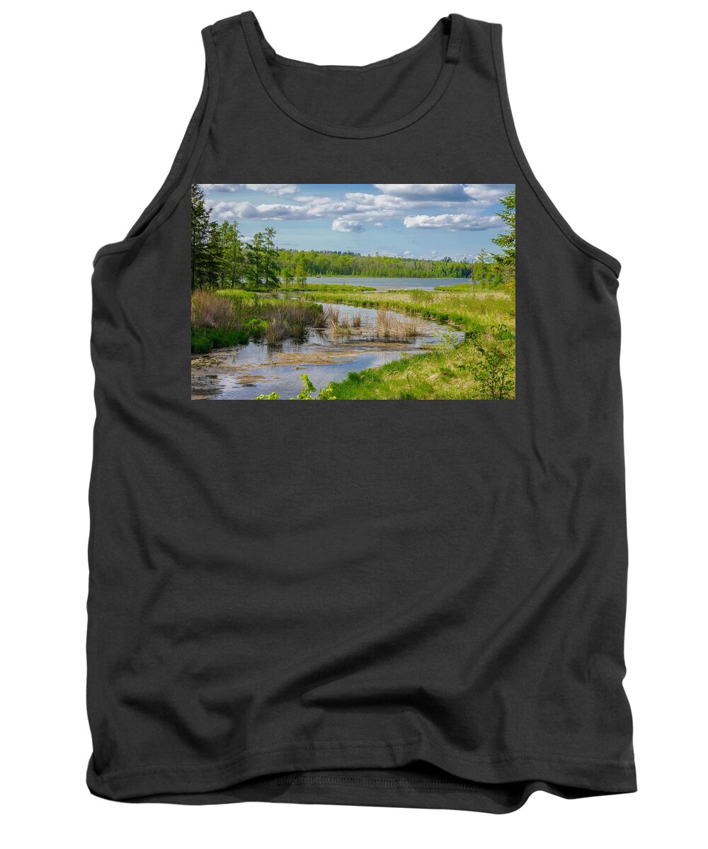 River Tank Top featuring the photograph Lake Itasca Beauty by Susan Rydberg