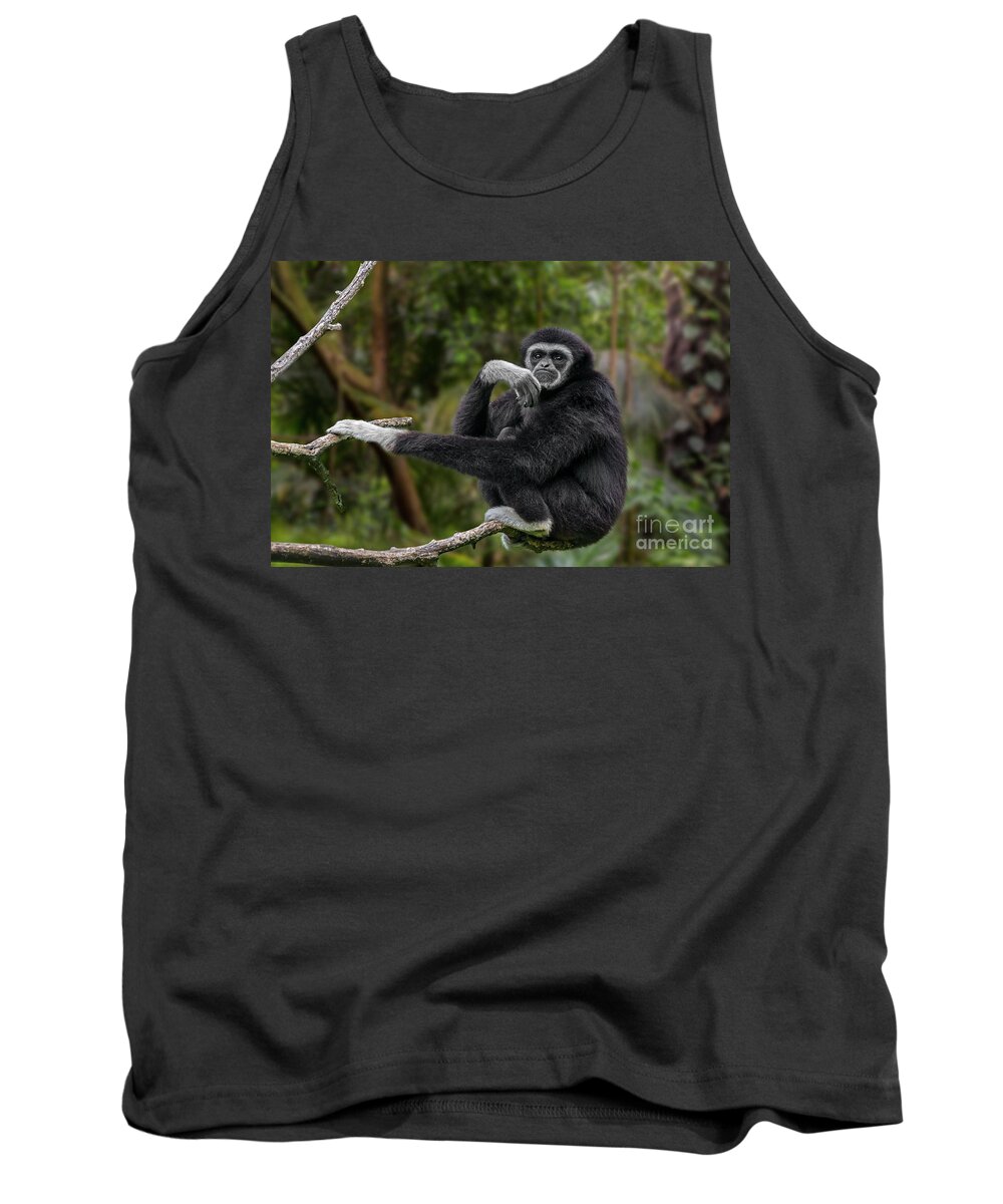 Lar Gibbon Tank Top featuring the photograph Lar Gibbon by Arterra Picture Library