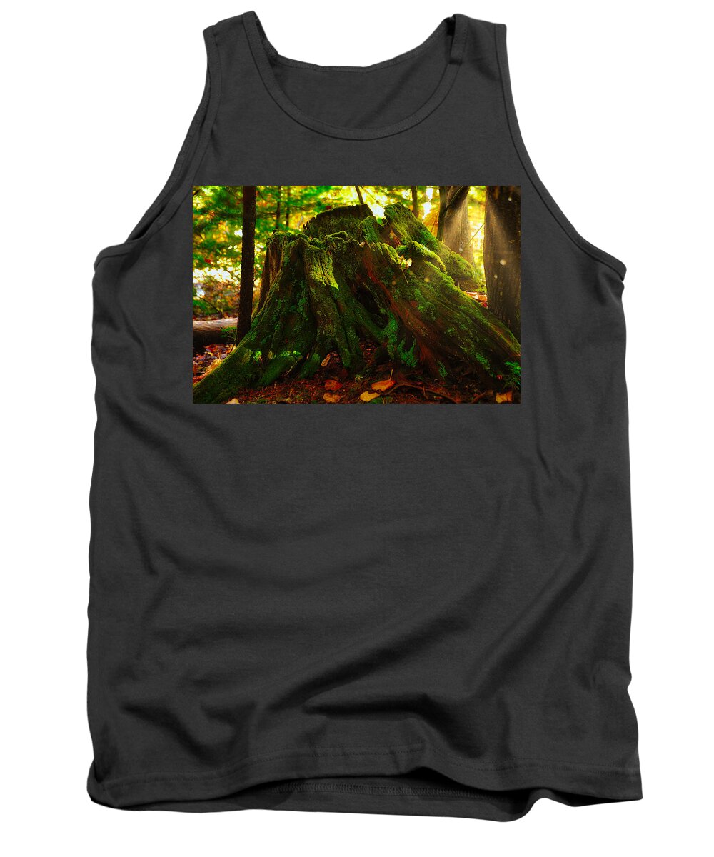 Photograph Tank Top featuring the photograph Life from Death by Richard Gehlbach