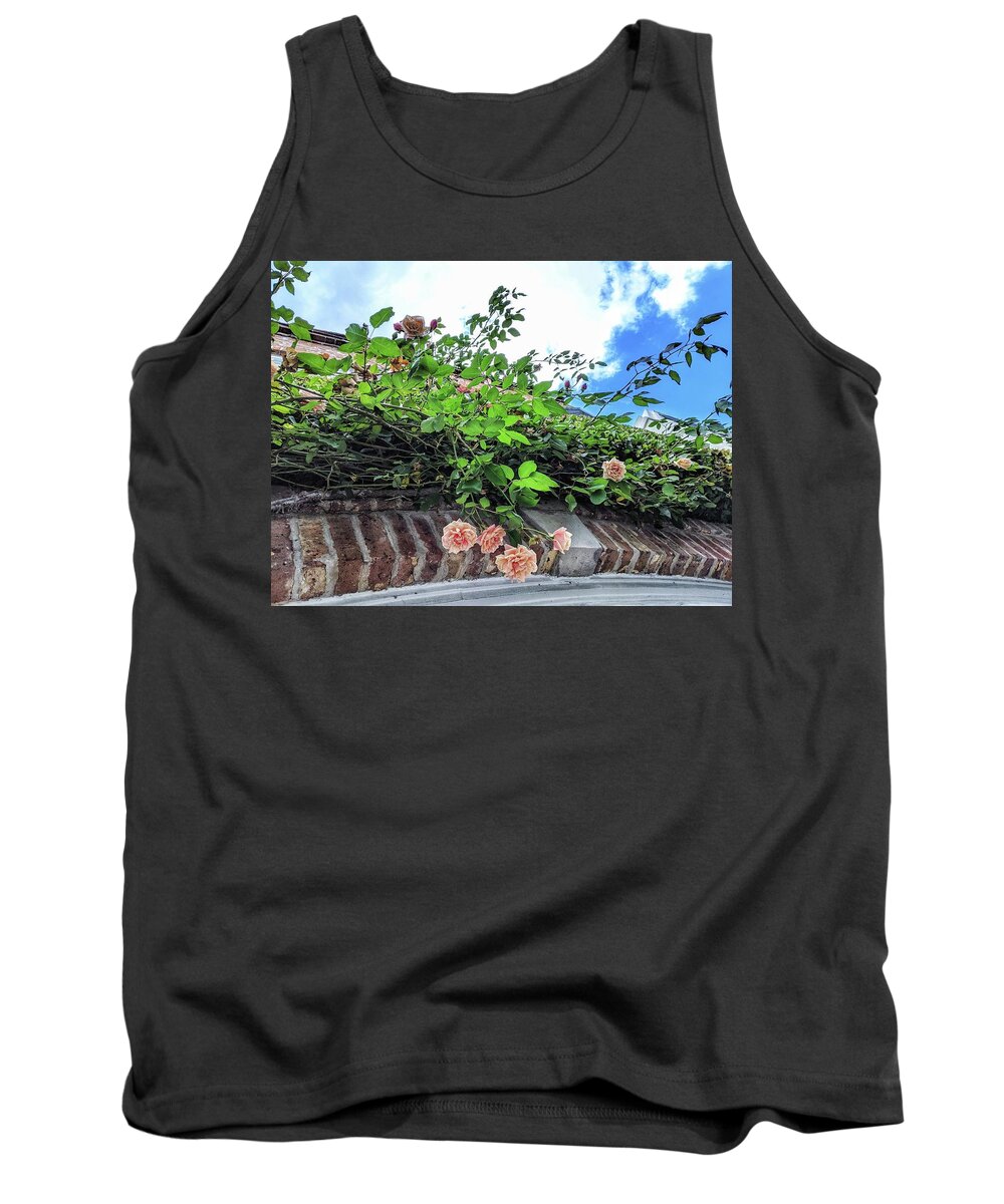 Peach Flowers Tank Top featuring the photograph Look Up by Portia Olaughlin