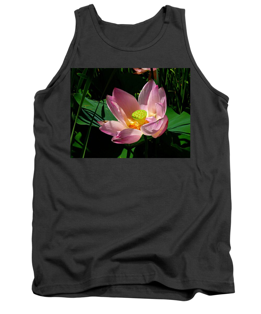 Pink Lotus Flower Tank Top featuring the photograph Lotus Blossom by Mike McBrayer