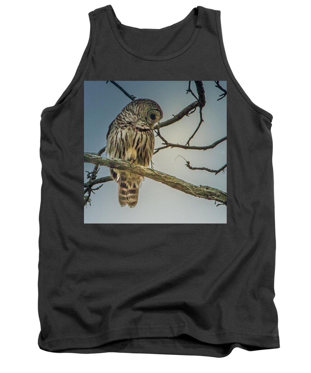 Owl Tank Top featuring the photograph Merlin Overlooking Camelot by David Wagenblatt