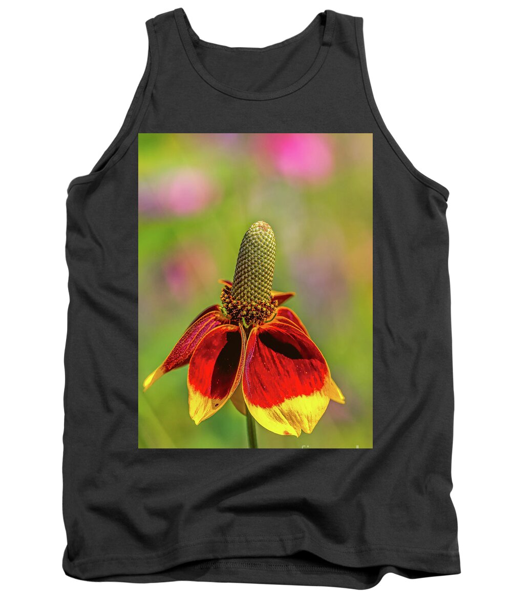 Amicalola-falls Tank Top featuring the photograph Mexican hat by Bernd Laeschke