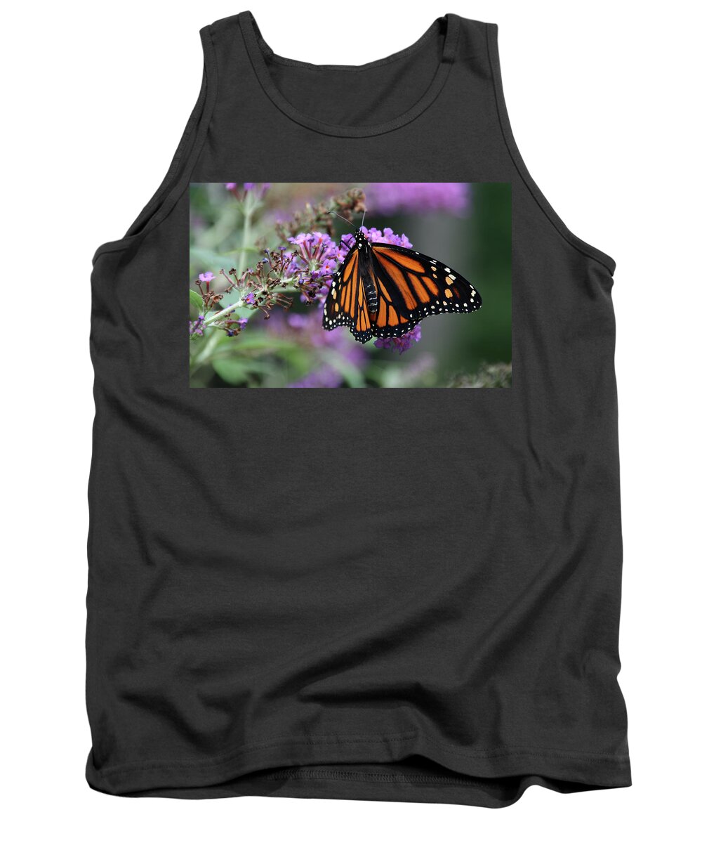 Butterfly Tank Top featuring the photograph Monarch by David Pratt