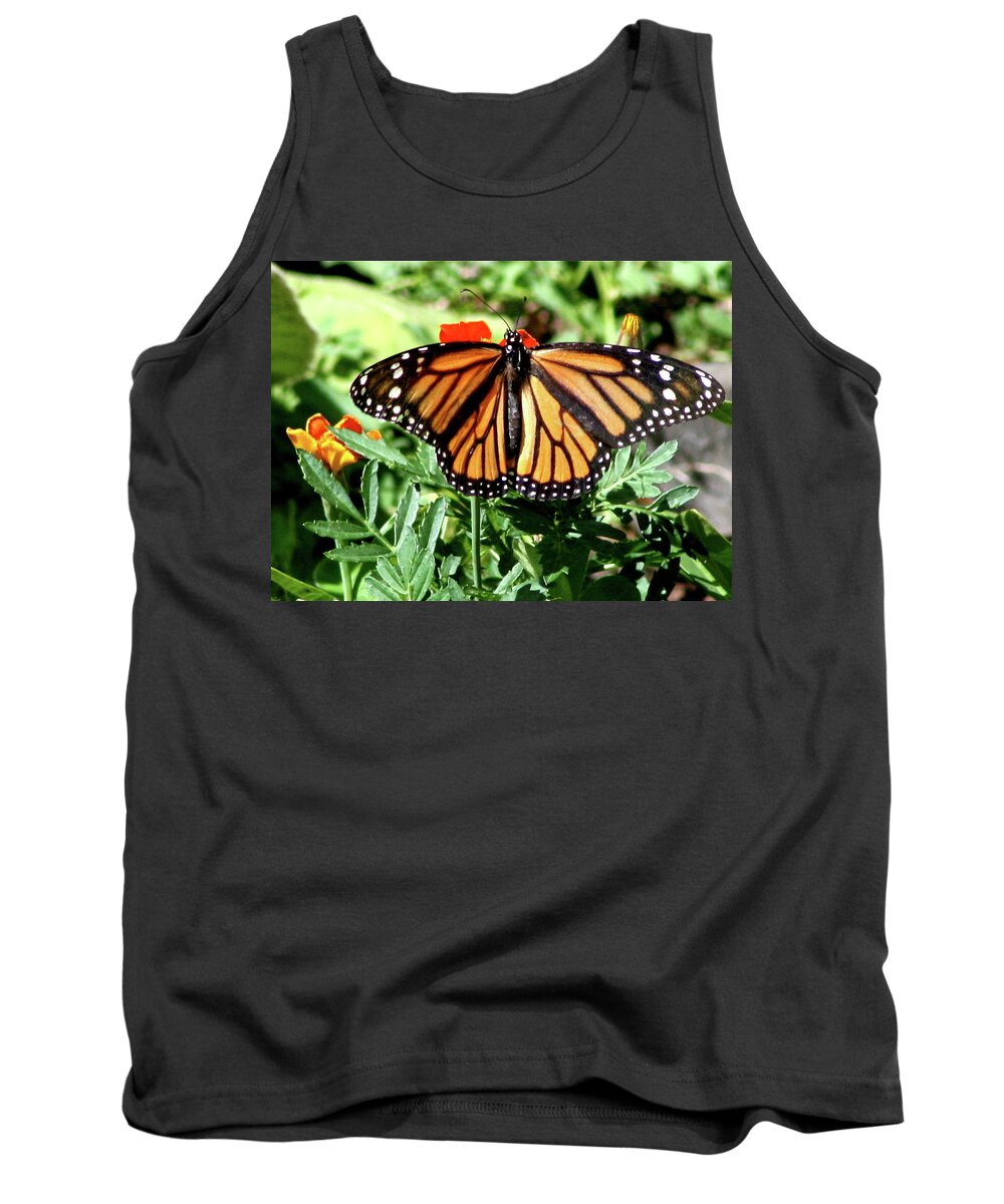 Butterfly Tank Top featuring the photograph Monarchy by Misty Morehead
