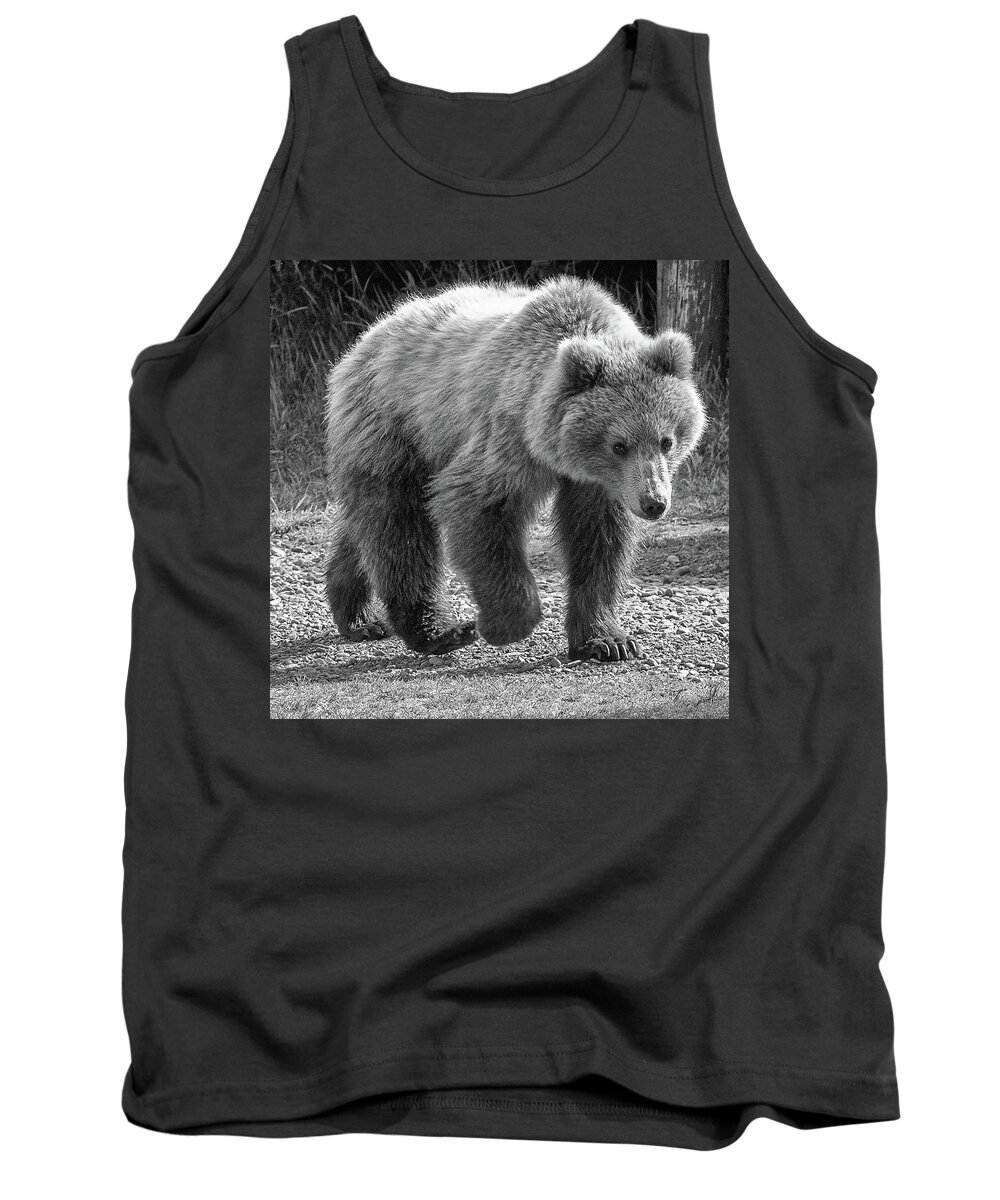 Bear Tank Top featuring the photograph Monochrome image of an Alaska Brown Bear walking by Mark Hunter