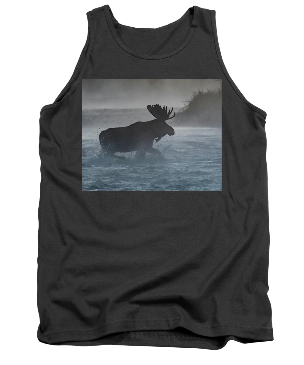 Moose Tank Top featuring the photograph Morning crossing by Mary Hone