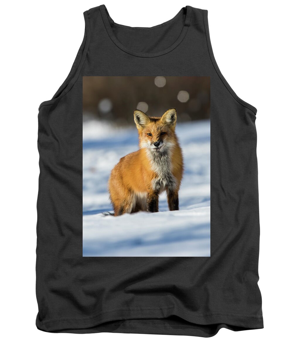 Animal Tank Top featuring the photograph Mr Sly in Winter by Mircea Costina Photography