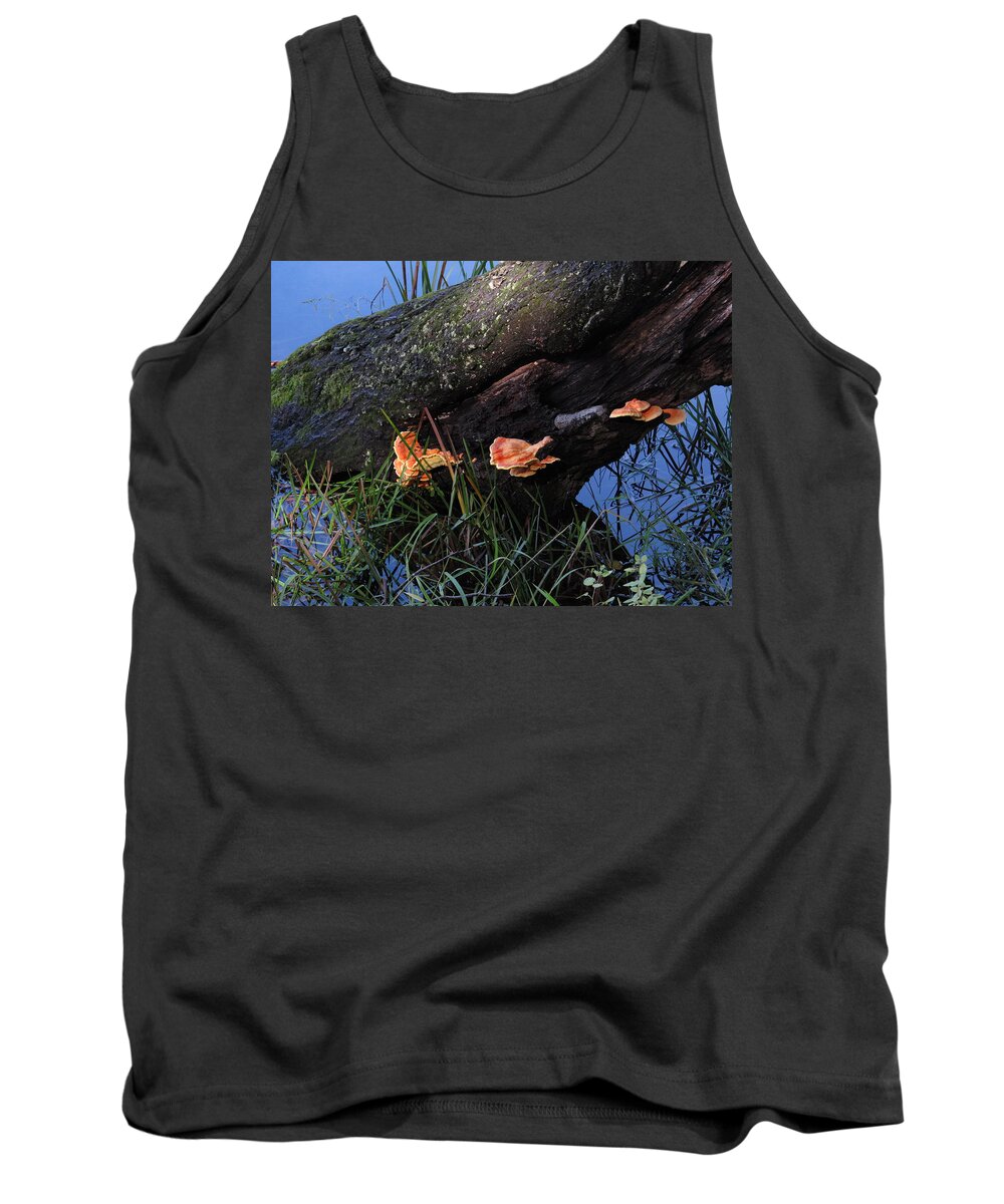 Mushroom Tank Top featuring the photograph Mushroom Log - #3506 by StormBringer Photography