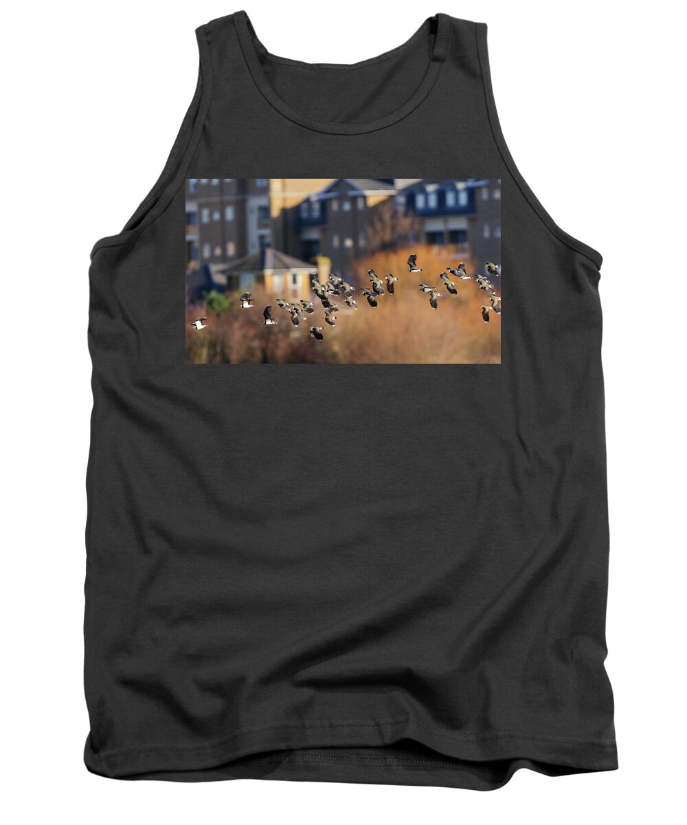 Animal Tank Top featuring the photograph Northern Lapwing Flock Flying Past Houses Of West London. by Oscar Dewhurst / Naturepl.com