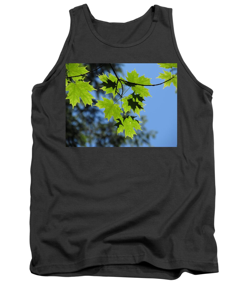 Maple Tank Top featuring the photograph Green Maple Leaves - #6186 by StormBringer Photography