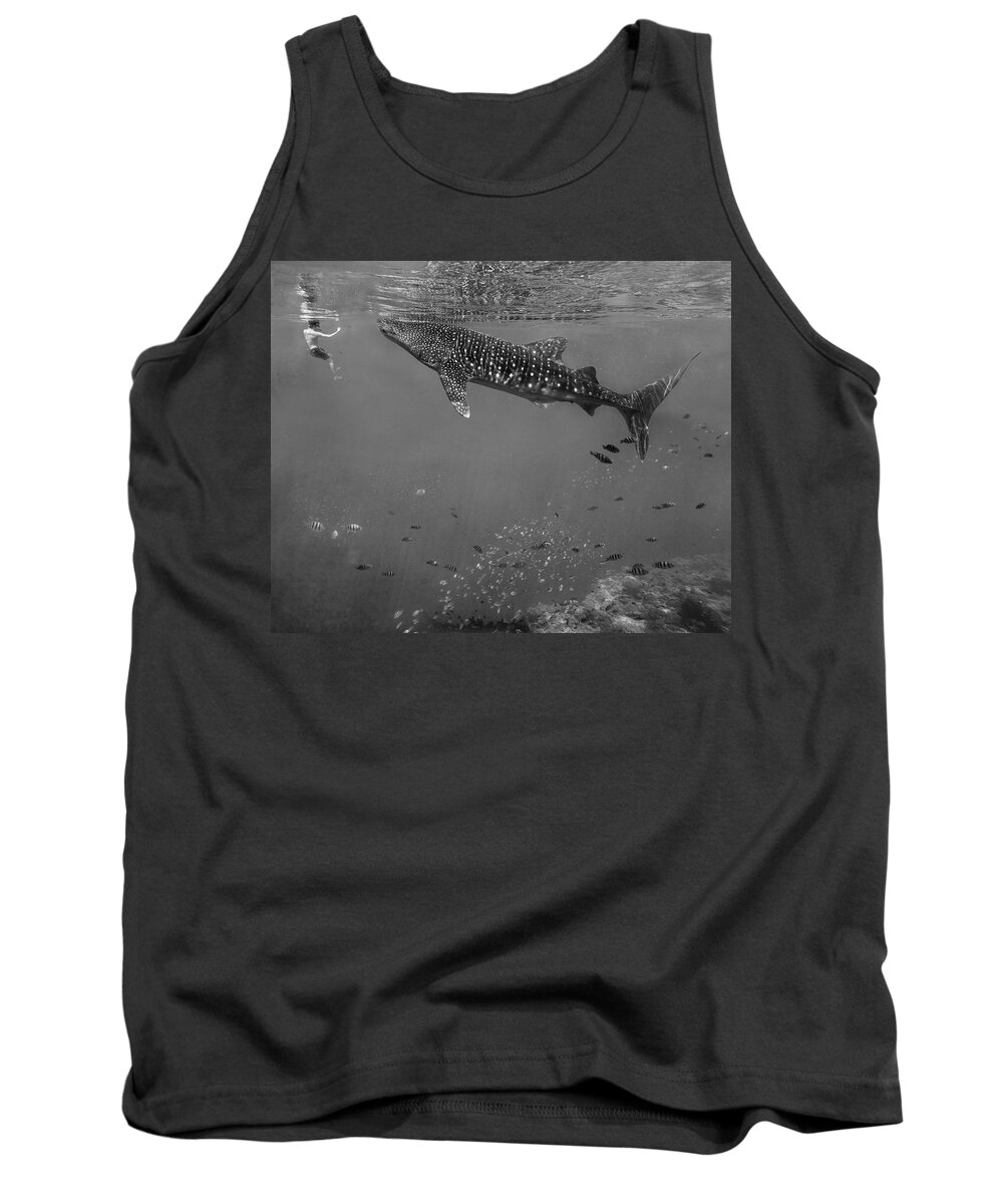 00591281 Tank Top featuring the photograph Ok That's Close Enough by Tim Fitzharris