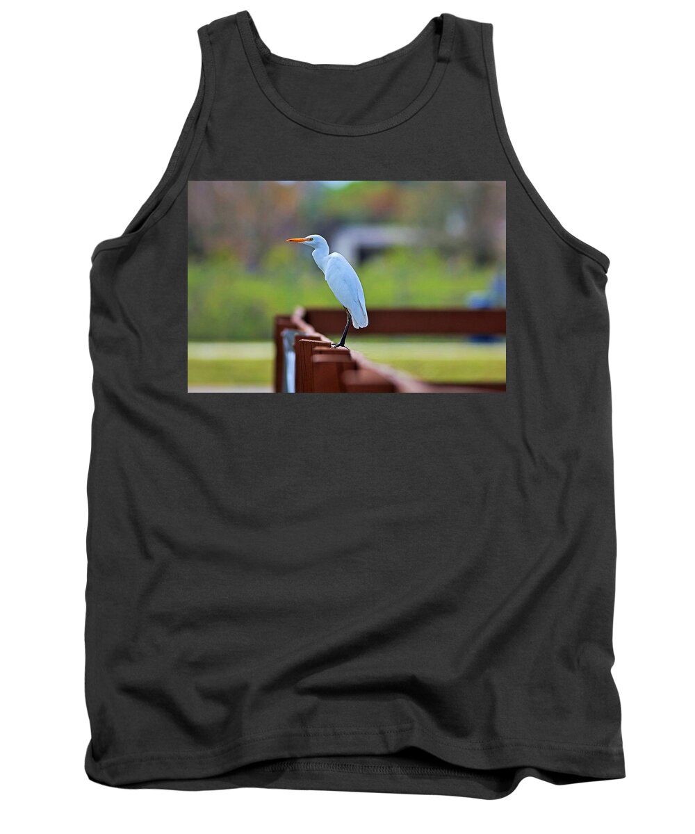 Cattle Egret Tank Top featuring the photograph On the Rails by Michiale Schneider