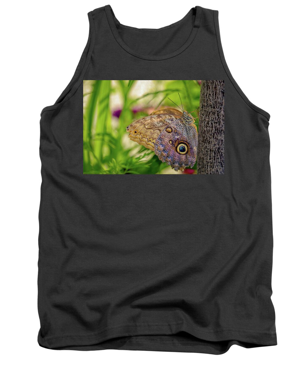 Butterfly Tank Top featuring the photograph Owl Butterfly by Susan Rydberg