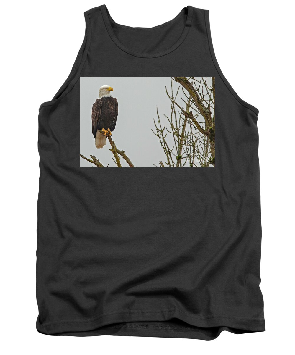 Eagle Tank Top featuring the photograph Pacific Northwest Bald Eagle by Natural Focal Point Photography
