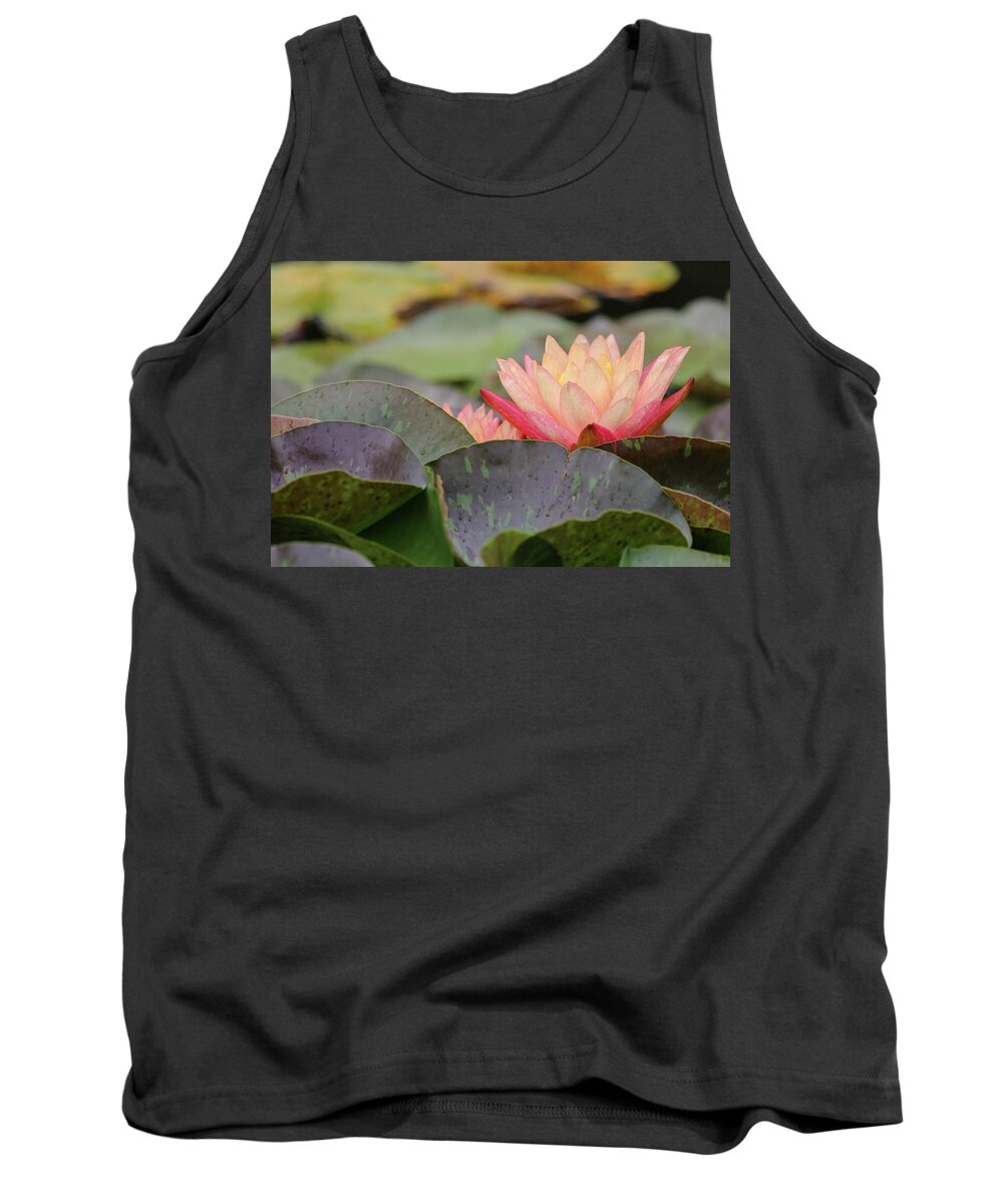 Lily Pad Tank Top featuring the photograph Peek A Boo Pads by Mary Anne Delgado