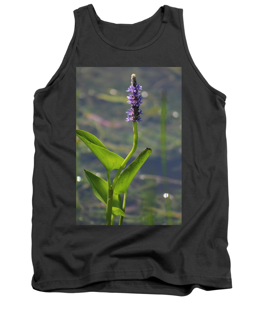 Summertime Tank Top featuring the photograph Perano Purple Pickerelweed by Colleen Cornelius