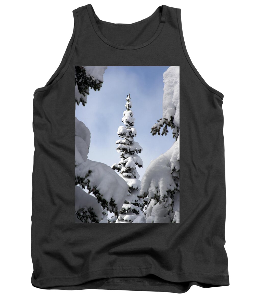 Snow Tank Top featuring the photograph Pine Framed in Powder by Brett Pelletier