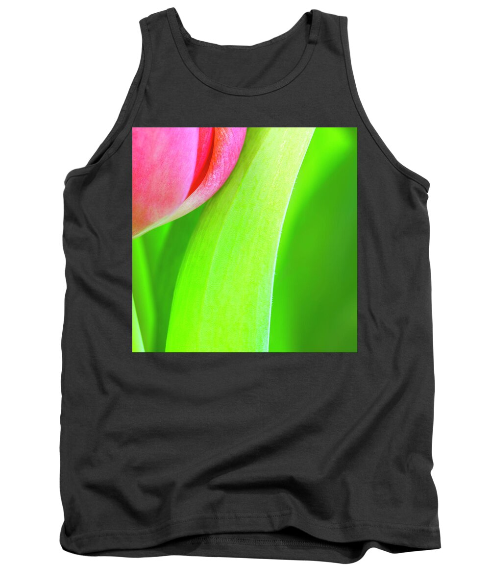 Tulip Tank Top featuring the photograph Pink Tulip Abstract i by Marianne Campolongo