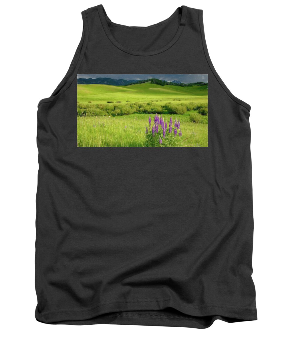 Lupines Tank Top featuring the photograph Pop of Purple by Marcy Wielfaert
