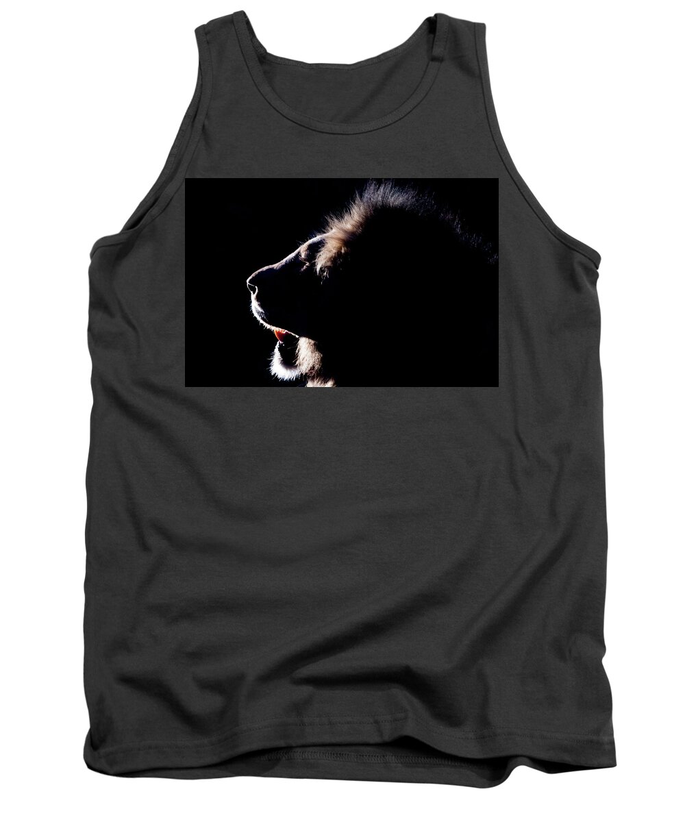 Lion Tank Top featuring the photograph Portrait of a backlit male african lion by Mark Hunter