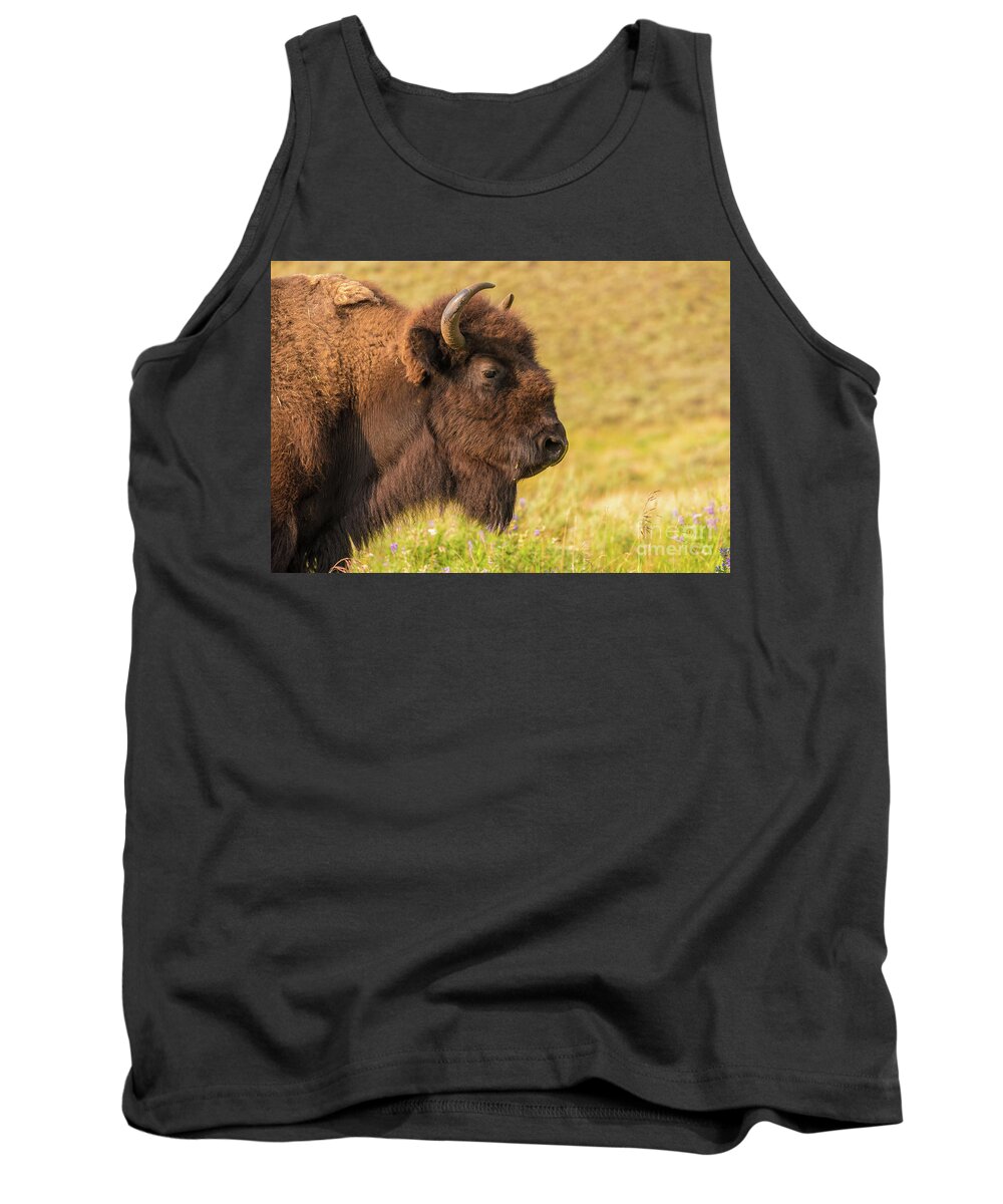 Wild Tank Top featuring the photograph Power Head by Dheeraj Mutha