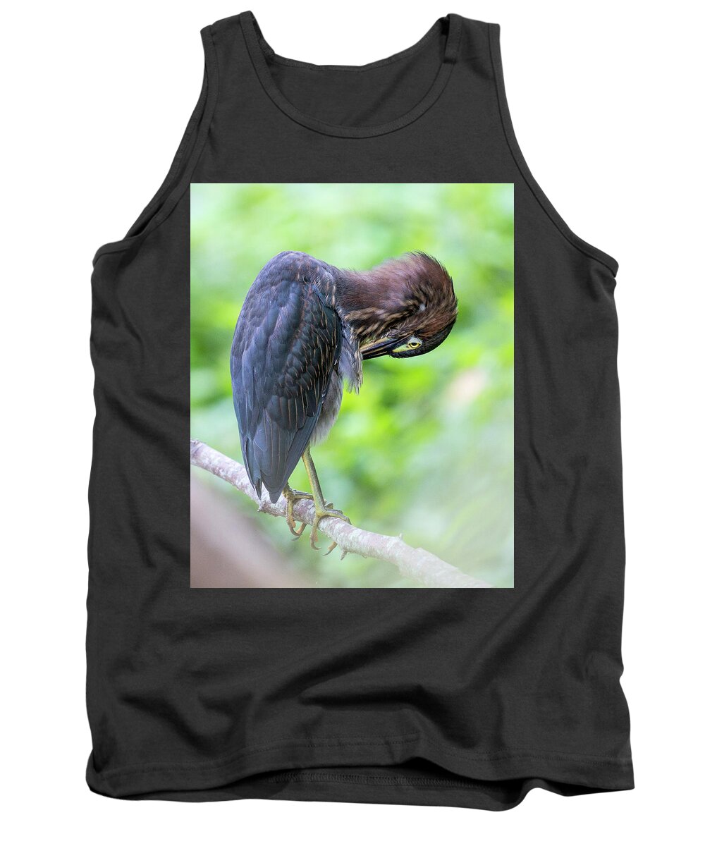 Heron Tank Top featuring the photograph Preening by Alan Raasch