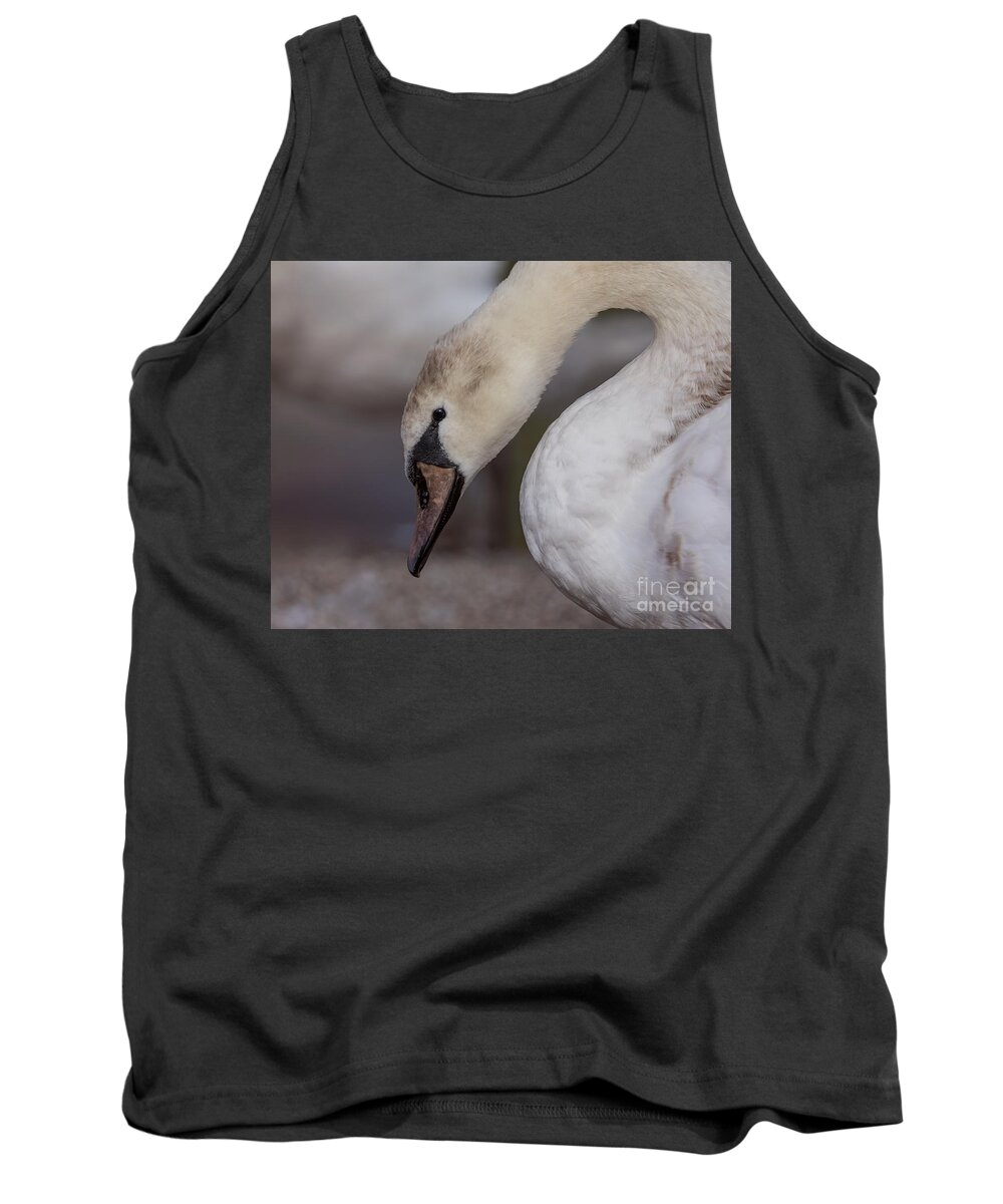 Photography Tank Top featuring the photograph Pretty Cygnet by Alma Danison