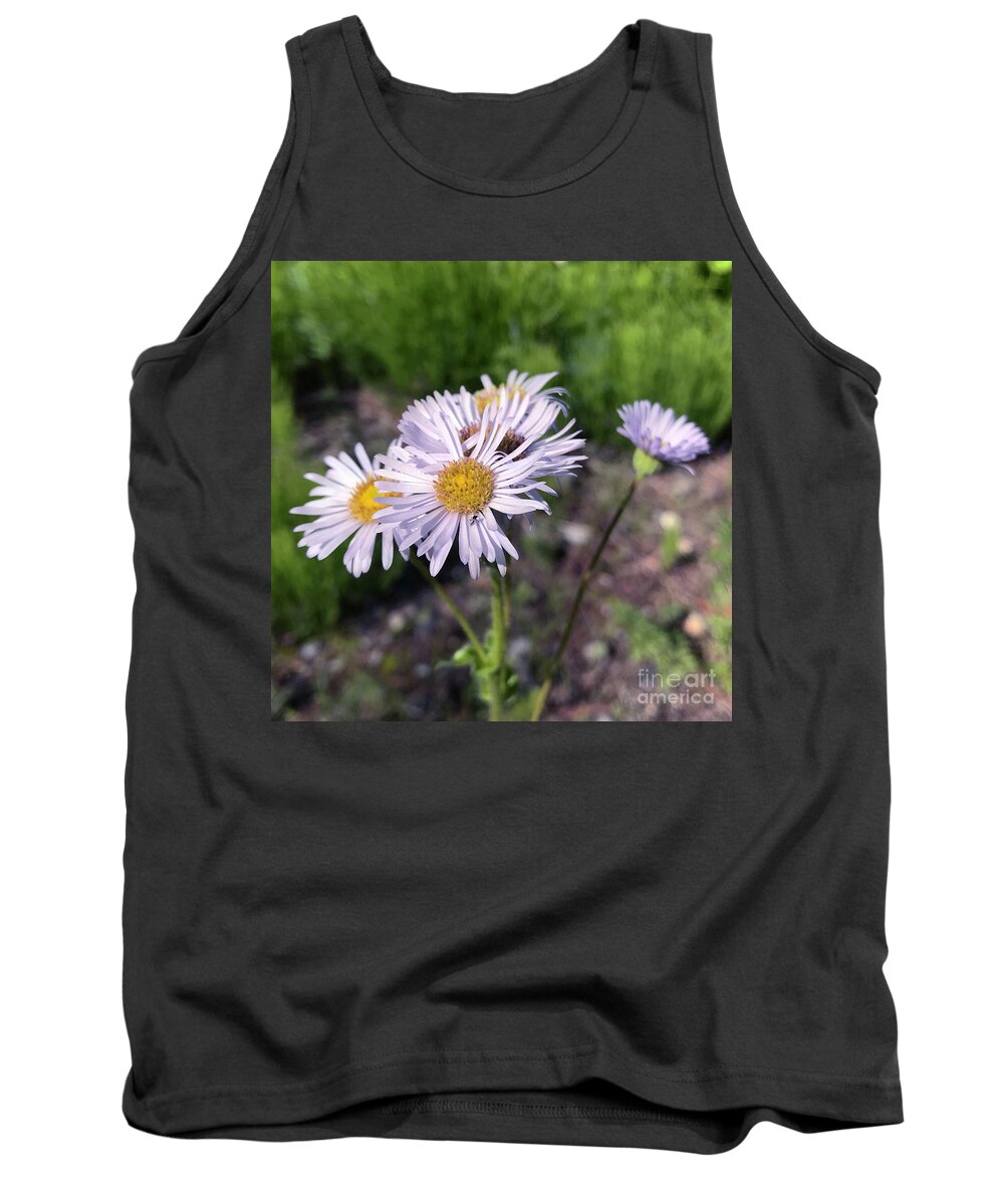 Common Fleabane Tank Top featuring the photograph Purple Fleabane 5 by Amy E Fraser