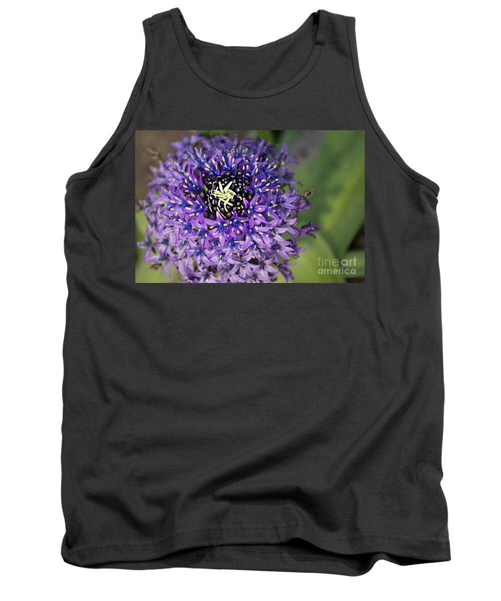 Purple Tank Top featuring the photograph Purple Flower by Rich Collins