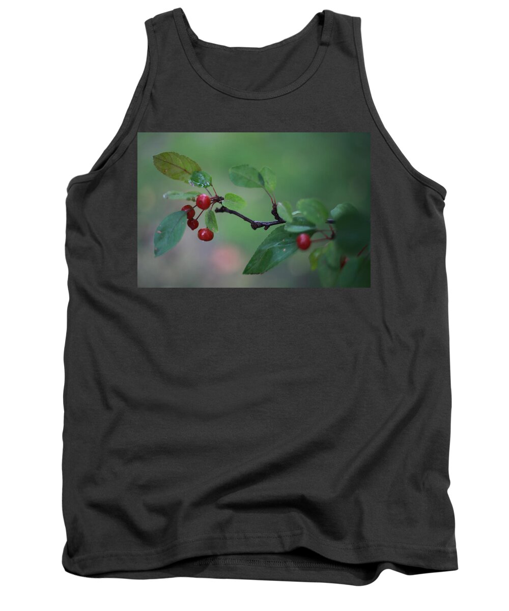 Green Tank Top featuring the photograph Tiny Red Berries on a Branch by Laura Smith